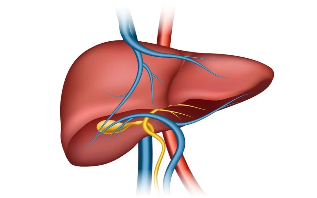 Liver Diseases