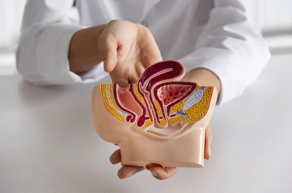 General Information About Urology Services in Türkiye